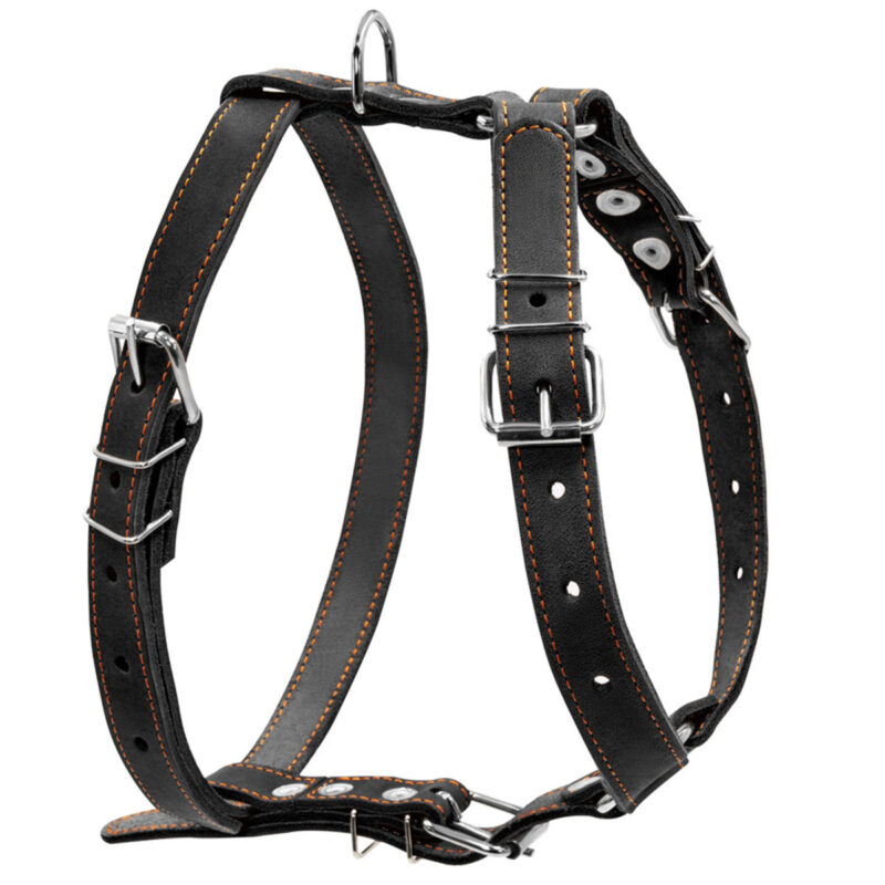 Шлея "CoLLaR" одинарна для середніх собак, шкіра, 25мм, обхват шиї 49-68см, грудей 68-80см, чорна