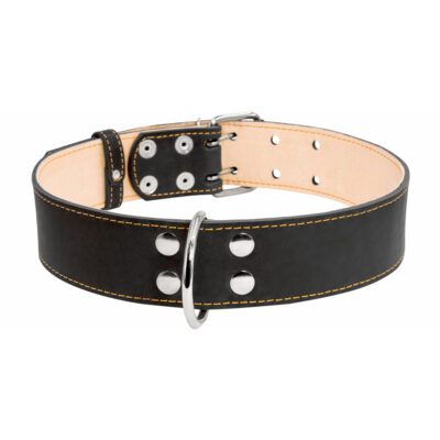 Нашийник CoLLaR плоский подвійний із шкіри для собак XL, чорний, 56-68 см 2
