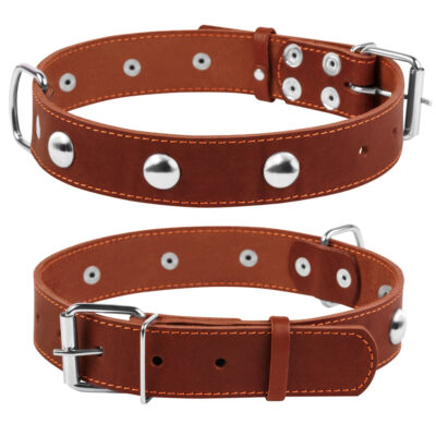 Нашийник CoLLaR одинарний зі шкіри з прикрасами для собак, 48-63 см, 35 мм, коричневий