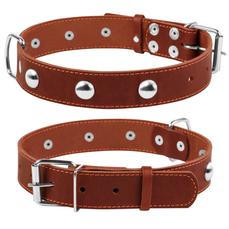 Нашийник CoLLaR одинарний зі шкіри з прикрасами для собак, 48-63 см, 35 мм, коричневий