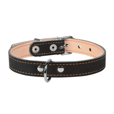 Нашийник CoLLaR подвійний шкіряний чорний для собак 14мм, довжина 27-35см 2