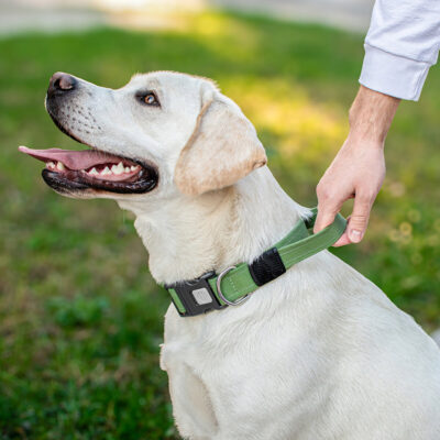 Нашийник для собак з ручкою CoLLaR, брезентовий, зелений, L, 53-69 см, 35 мм 2