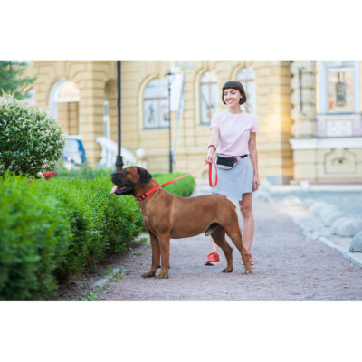Повідець для собак WAUDOG Waterproof, водостійкий, червоний, L-XXL, 25 мм, 183 см 8