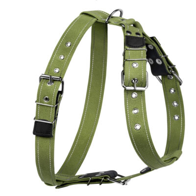 Шлея для собак CoLLaR з брезенту для великих собак №2, 35мм, обхват шиї 68-91см, груди 85-97см 2