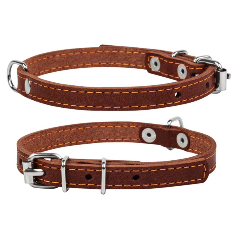 Нашийник CoLLaR одинарний коричневий, ширина 14мм, довжина 27-35см