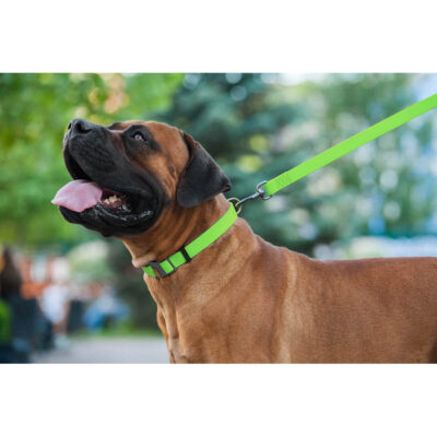 Повідець для собак WAUDOG Waterproof, водостійкий, 20 мм×183 см, салатовий 7
