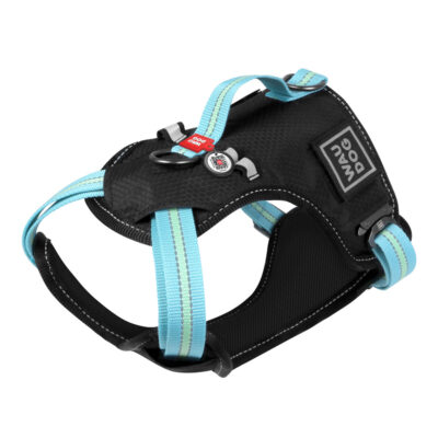 Шлея для собак WAUDOG Nylon з QR паспортом, металічна пряжка, L, Ш 25 мм, А 55-85 см, В 65-85 см блакитний 3