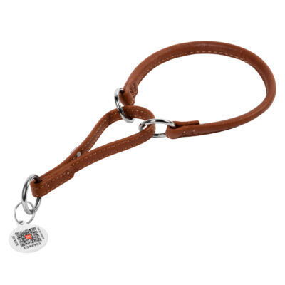 Нашийник-зашморг WAUDOG Soft шкіряний, круглий, для собак, Д 6мм, Довж 21-30 см, коричневий 2