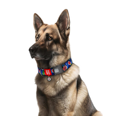 Нашийник WAUDOG Nylon "Інжир" для собак XXL, нейлон, 46-70 см, ширина 35 мм 4