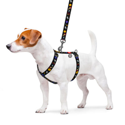 Шлея для собак анатомічна WAUDOG Nylon, QR-паспорт, малюнок "NASA", S, Ш 15 мм, A 28-42, B 33-50 3