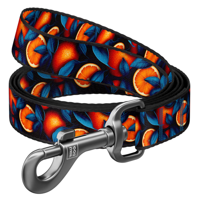 Повідець нейлоновий WAUDOG Nylon, Апельсини, S, Ш 15 мм, Довж 300 см