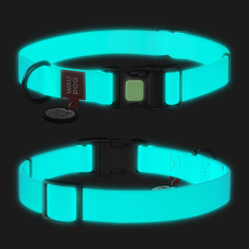 Нашийник для собак WAUDOG Waterproof водостійкий, світонакоплювальний, пластикова пряжка-фастекс, Ш 15 мм, Дов 25-35 см
