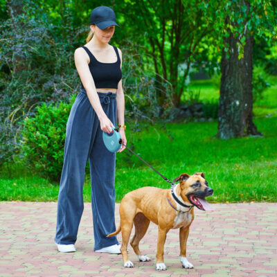 Повідець-рулетка WAUDOG R-leash L, світловідбивна стрічка, для собак до 40 кг, 5 м, пластиковий 9