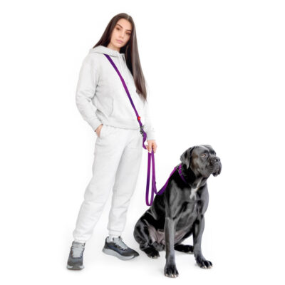 Повідець-перестібка WAUDOG Nylon Mono, світловідбивний, для собак, нейлон, 300 см, Ш 20 мм 3