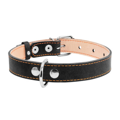 Нашийник CoLLaR шкіряний плоский, подвійний для собак, ширина 25мм, довжина 38-50см, чорний 2