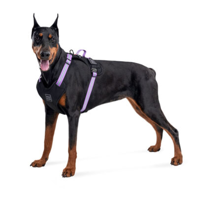 Шлея для собак WAUDOG Nylon фіолетова, L, 25 мм, обхват шиї 55-85 см 5