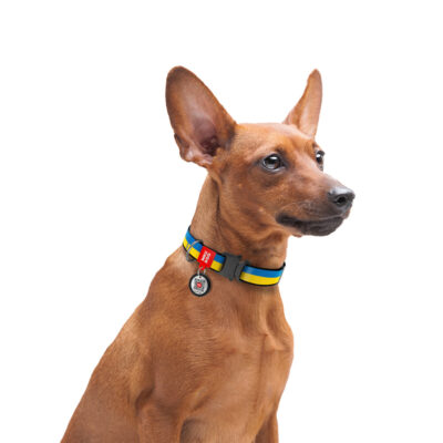 Нашийник WAUDOG Nylon "Colors of freedom" для собак, XXL, Ш 35 мм, Д 46-70 см 4