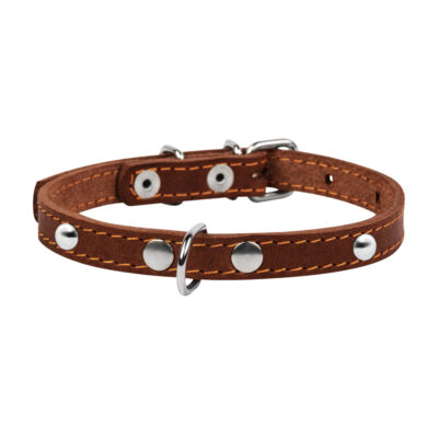 Нашийник CoLLaR одинарний зі шкіри з прикрасами для собак, коричневий, 12мм, 24-32см 2