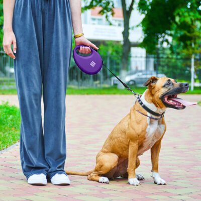 Повідець-рулетка WAUDOG R-leash, світловідбиваюча стрічка, з контейнером для пакетів, L, до 40 кг, 5 м, фіолетовий 8