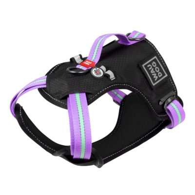 Шлея для собак WAUDOG Nylon з QR паспортом, S, 20 мм ширина, 35-60 см обхват шиї, фіолетова 3