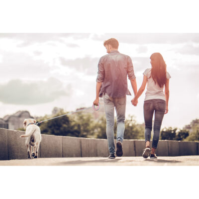 Повідець-рулетка WAUDOG R-leash, кругла, до 40 кг, 2,9 м, пластиковий, рожевий 10