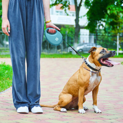 Повідець-рулетка WAUDOG R-leash L, світловідбивна стрічка, для собак до 40 кг, 5 м, пластиковий 8
