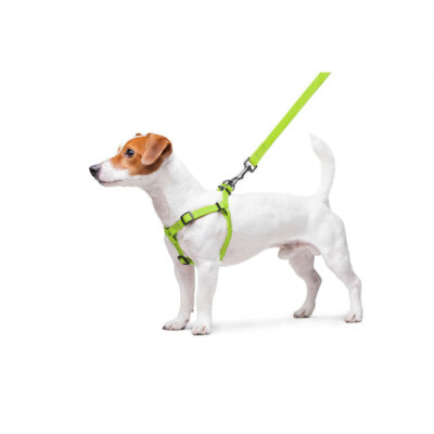 Шлея для собак WAUDOG Waterproof водостійка, металічна пряжка; Ш 15 мм, Довж 40-55 см 7