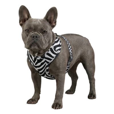 Шлея для собак WAUDOG Mesh, дихаюча, з QR адресником, для собак, М, Обхват шиї 35 см, грудей 42-60 см 4