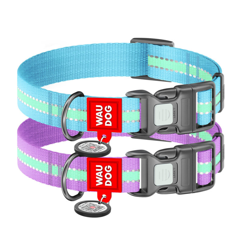 Нашийник нейлоновий WAUDOG Nylon, світловідбивний, для собак, 25 мм, 37-58 см, блакитний