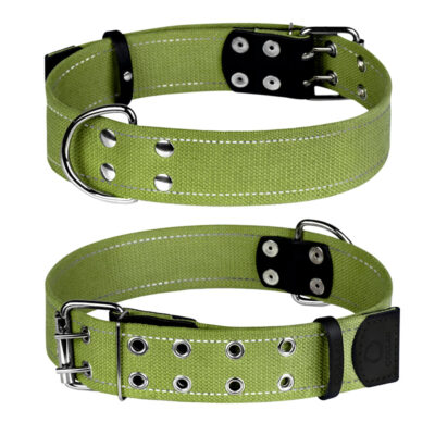 Нашийник для собак CoLLaR з брезенту (ширина 45мм, довжина 56-71см)