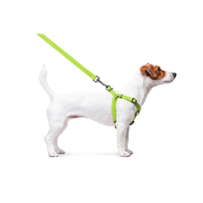 Шлея для собак WAUDOG Waterproof водостійка, металічна пряжка; Ш 15 мм, Довж 40-55 см 5