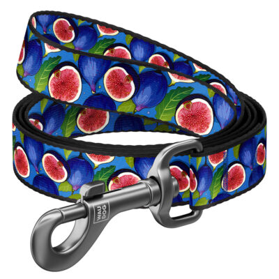Повідець для собак WAUDOG Nylon, інжир, нейлон, Ш 20 мм, Д 300 см