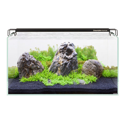 Акваріумістика COLLAR