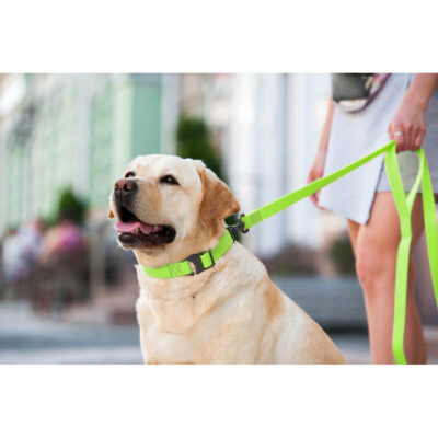 Повідець для собак WAUDOG Waterproof, водостійкий, 20 мм×183 см, салатовий 10