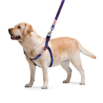 Шлея WAUDOG Nylon NASA21 для собак, L, Ш 25, Обхват 60-85 см, пластиковий фастекс 2