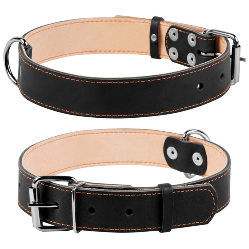 Нашийник CoLLaR плоский, шкіряний, подвійний для собак, 35 мм ширина, 48-63 см довжина