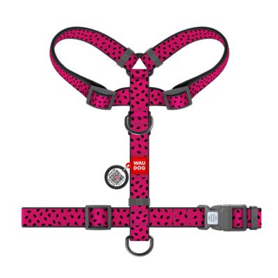 Шлея анатомічна H-подібна WAUDOG Nylon, малюнок "Кавун", S, Ш 15 мм, A 28-42 см, B 33-50 см 2