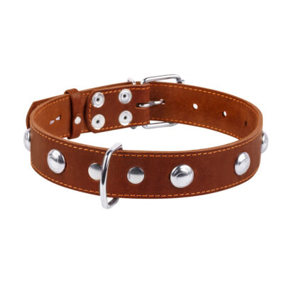Нашийник CoLLaR одинарний зі шкіри з прикрасами для собак, 48-63 см, 35 мм, коричневий 2