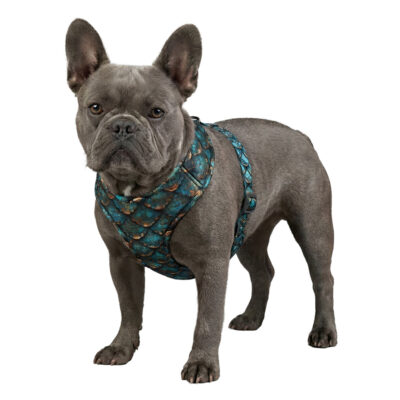 Шлея для собак WAUDOG Mesh дихаюча з QR адресником, малюнок «Луска», XS, обхват 24 см, 30-36 см 4