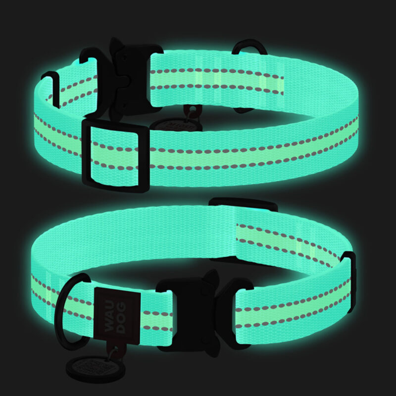 Нашийник для собак WAUDOG Nylon, нейлоновий, з QR паспортом, світловідбивний, 20 мм, 28-40 см блакитний