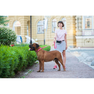 Повідець для собак WAUDOG Waterproof, водостійкий, М, 20 мм × 183 см, рожевий 8