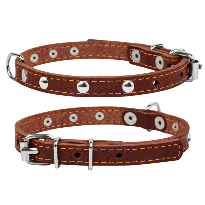 Нашийник CoLLaR одинарний з прикрасами, для собак, коричневий, шкіра, 27-35см, 14мм