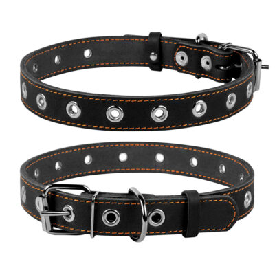 Нашийник CoLLaR безрозмірний, шкіряний, 25мм ширина, 60см довжина, чорний
