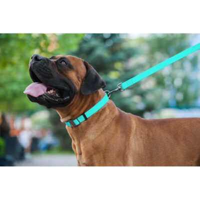 Повідець для собак WAUDOG Waterproof, водостійкий, M, Ш 20 мм, Довж 183 см 8
