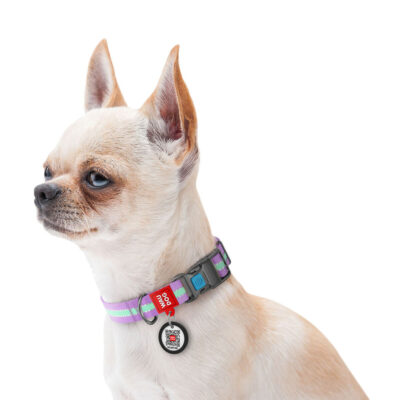 Нашийник для собак WAUDOG Nylon, світлонакопичувальний, Ш 25 мм, Дов 37-58 см, фіолетовий 5