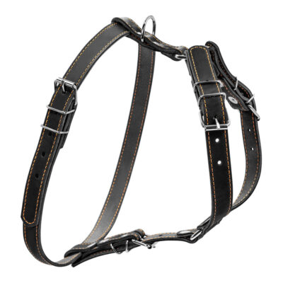 Шлея "CoLLaR" одинарна шкіряна для малих та середніх собак, чорна, 20мм, обхват шиї 40-56см