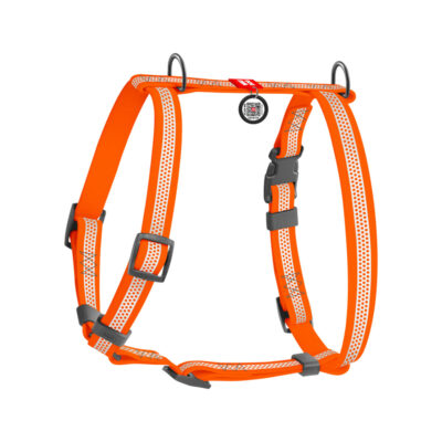 Шлея анатомічна водостійка WAUDOG Waterproof, Н-подібна, для собак, L, Ш 25 мм, А 50-85 см, В 60-100 см, помаранчевий 2