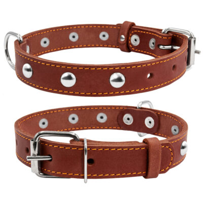 Нашийник CoLLaR одинарний з прикрасами 32-40 см, ширина 20 мм, шкіра, коричневий