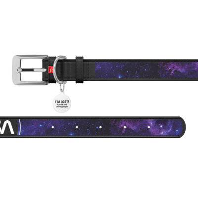 Нашийник шкіряний WAUDOG Design NASA21 для собак XXS 12×18-24 см, чорний 3