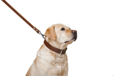 Повідець CoLLaR подвійний з прошивкою, шкіра, 20мм × 122см, коричневий 4